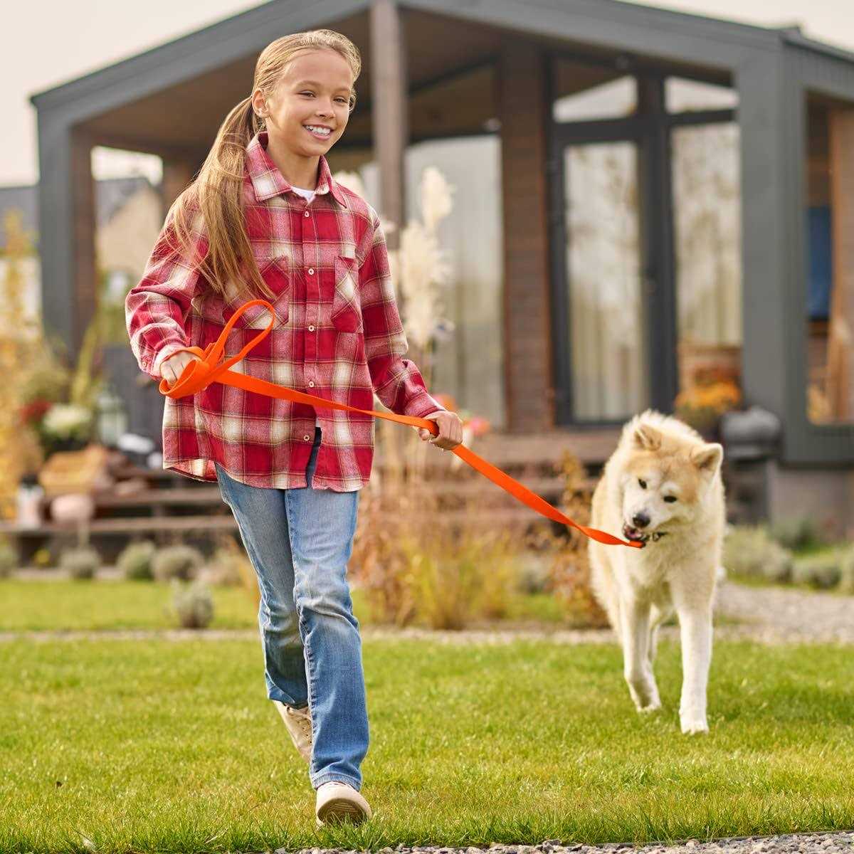 Viper Biothane K9 Working Dog Leash Waterproof Lead for Tracking Train - Pet Supplies online store