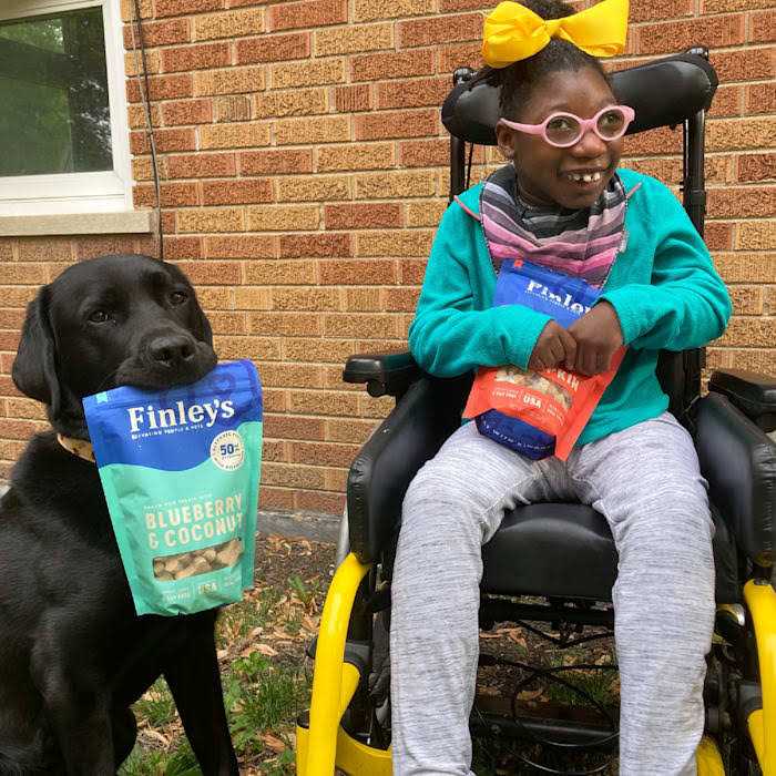 Finley's Soft Chew Dog Treats Training Bites - Pet Supplies online store