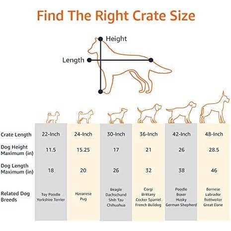 Amazon Basics Foldable Metal Wire Dog Crate with Tray - Pet Supplies online store