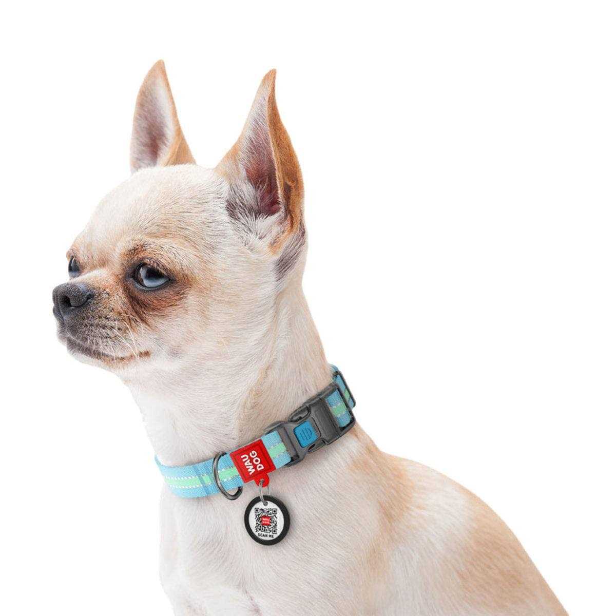 WAUDOG Glow in the Dark QR Passport Nylon Standard Dog Collar Blue - Pet Supplies online store