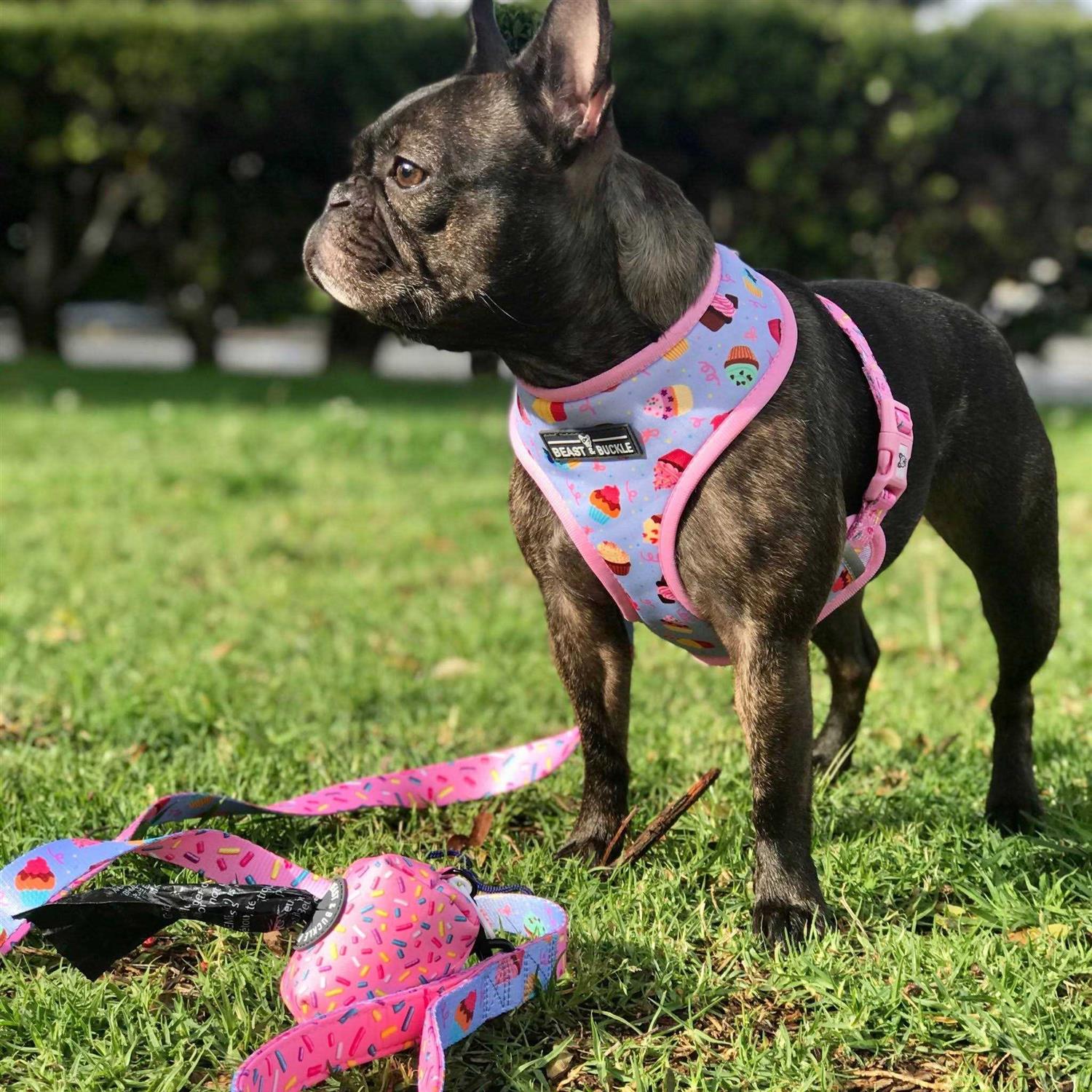 Beast & Buckle Reversible Dog Harness - Pet Supplies online store