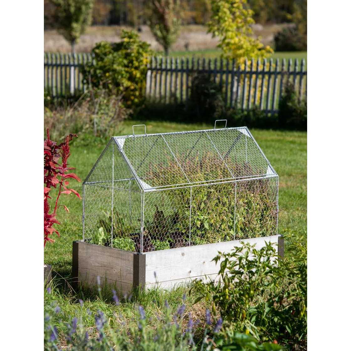 Chicken Wire Crop Coop - Pet Supplies online store