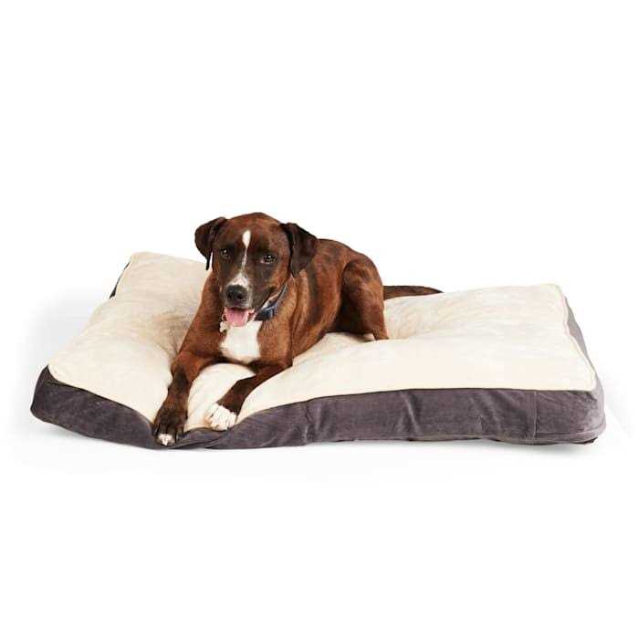 EveryYay Essentials Snooze Fest Lounger Dog Bed - Pet Supplies online store