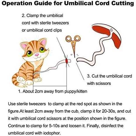 WEEGEEKS Whelping Kit,Whelping Kit for Puppies Birth with 12pcs Whelping Collars,Puppy Feeding Tube etc,Newborn Puppy Whelping Supplies - Pet Supplies online store
