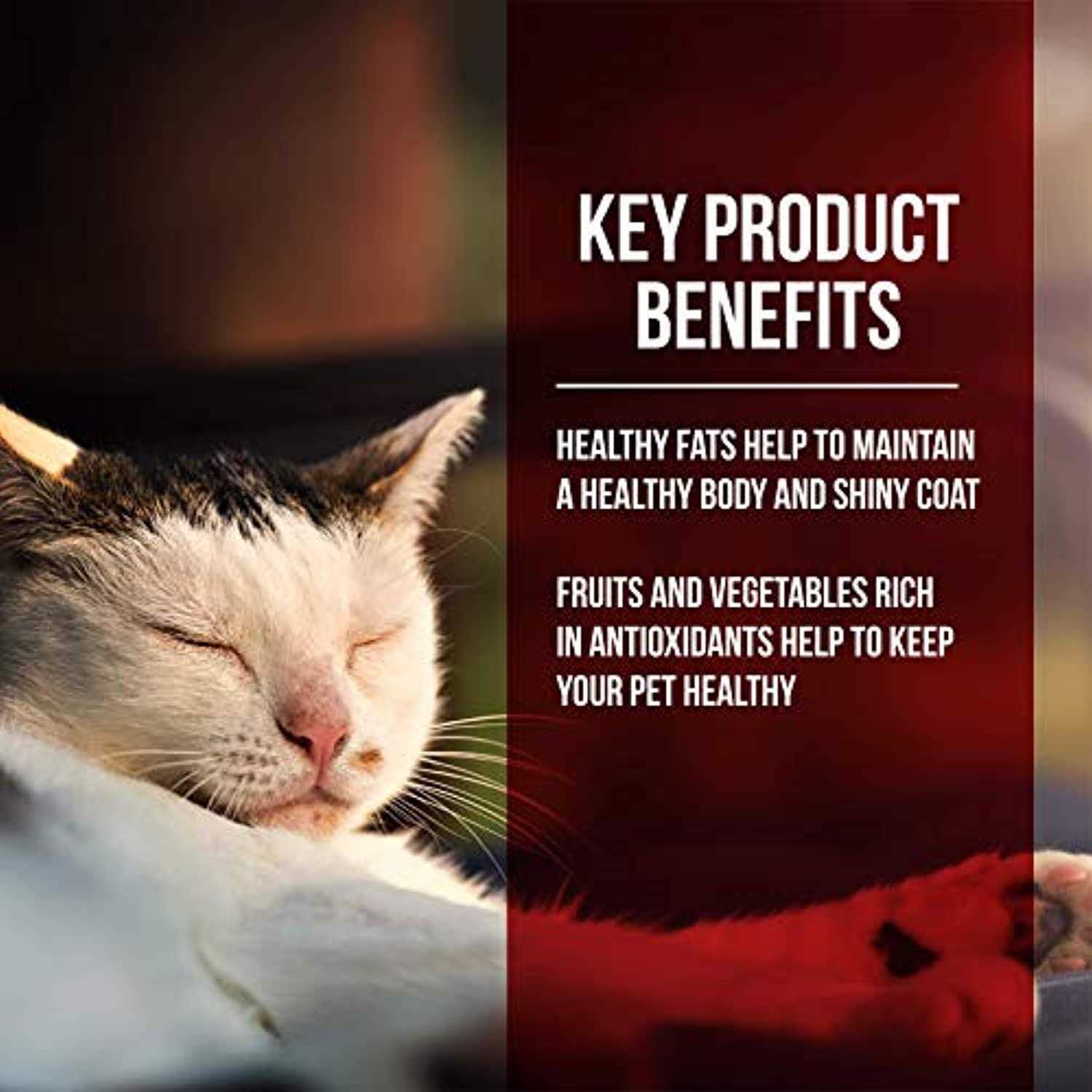 Fussie Cat Dry Cat Food Market Fresh Chicken Turkey - Pet Supplies online store