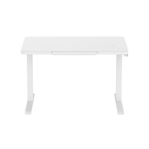 Glass Tabletop Standing Desk (White)