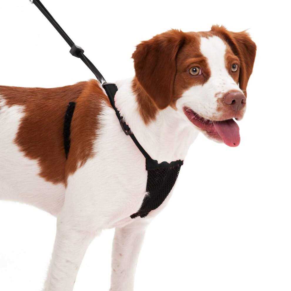 Sporn Mesh Non Pull Dog Harness - Pet Supplies online store