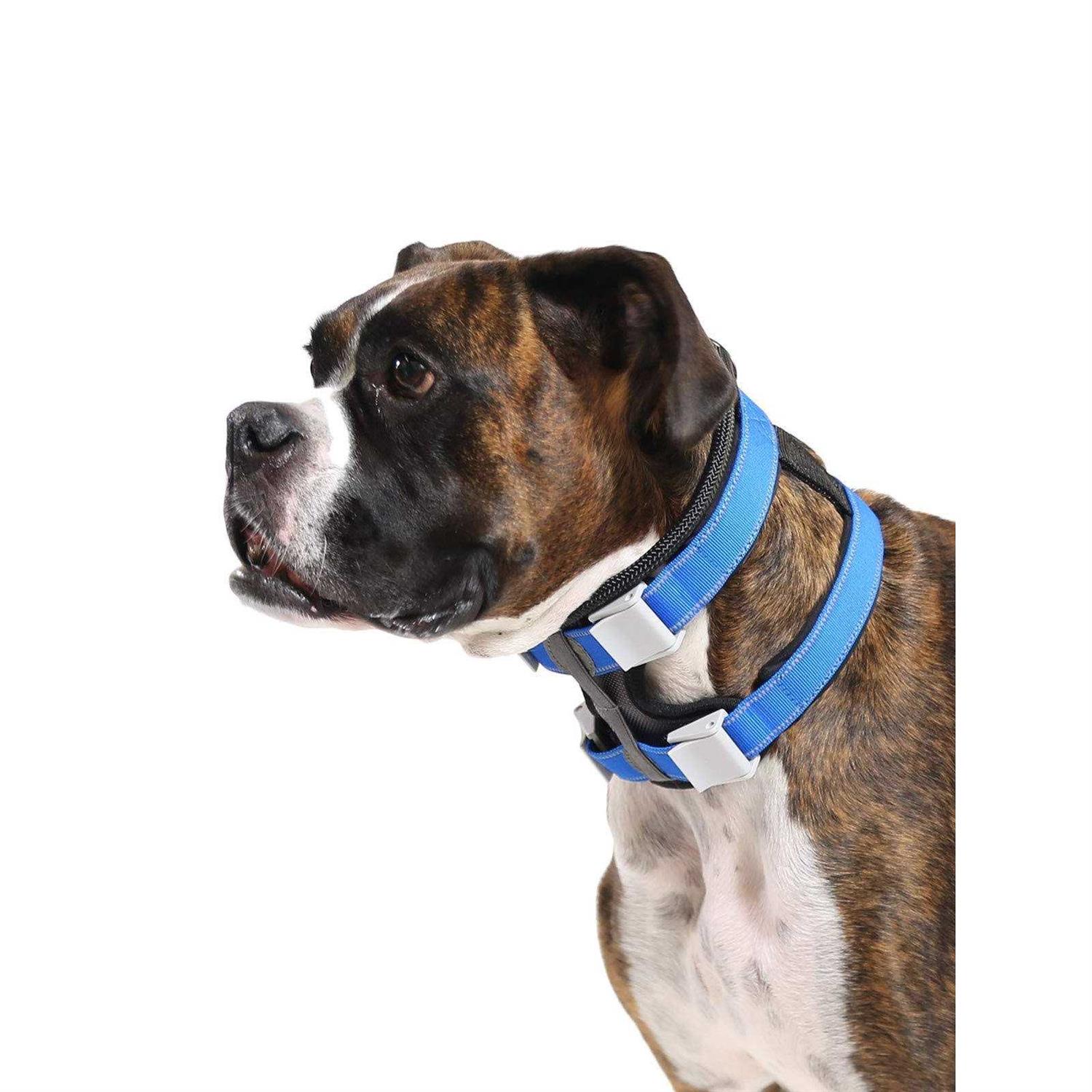 Cesar Millan Pack Leader Collar Training Collar of the Dog Whisperer - Pet Supplies online store