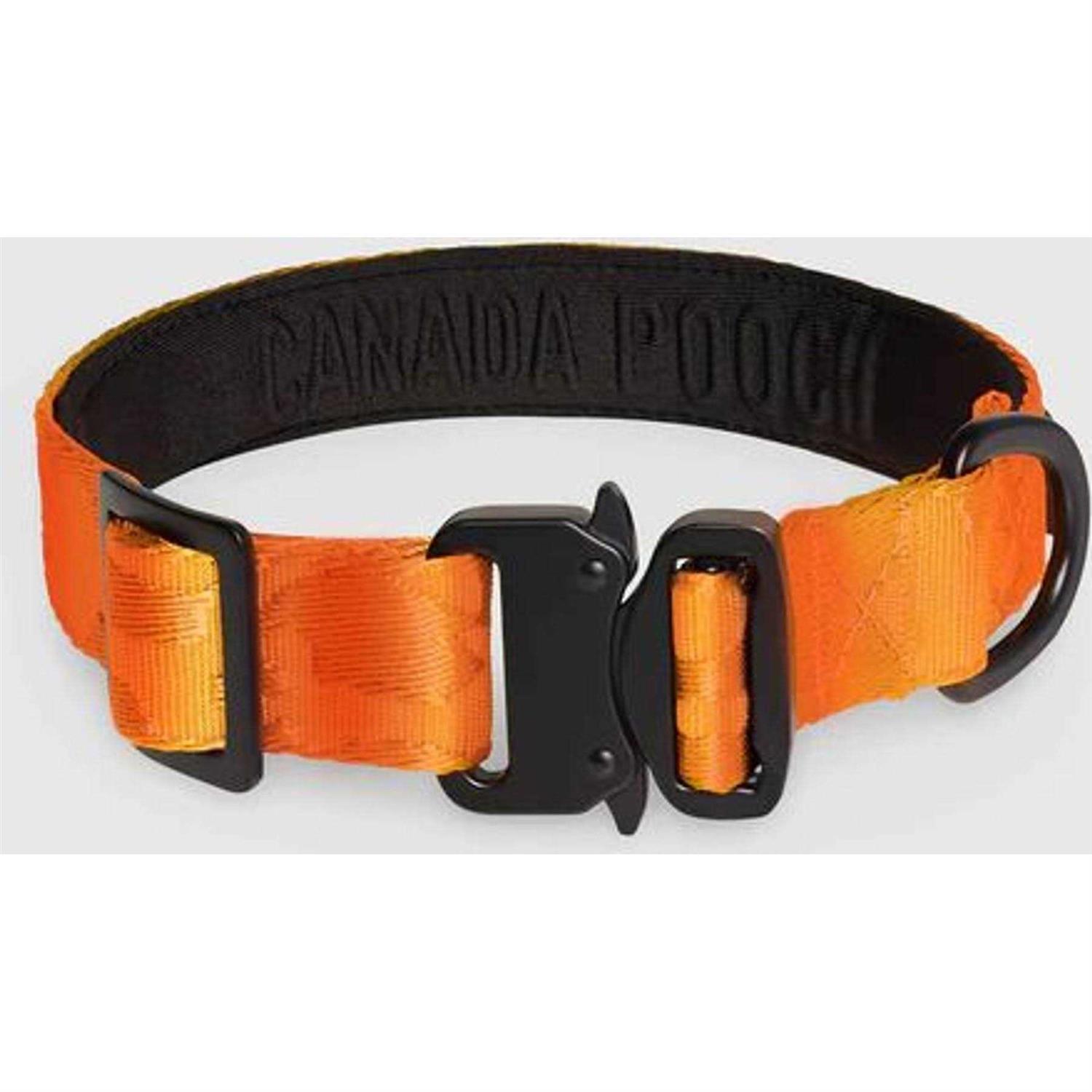 Canada Pooch Utility Dog Collar - Pet Supplies online store
