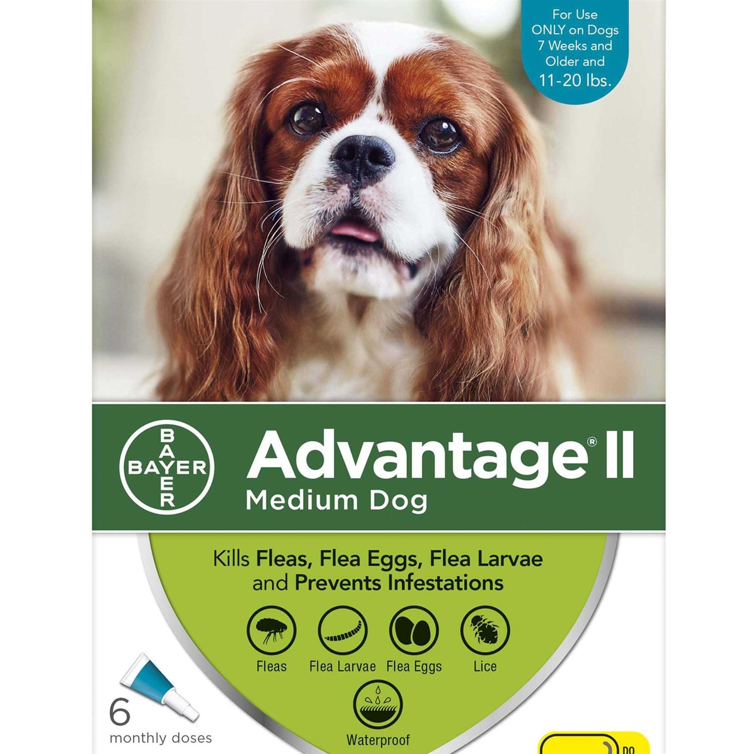 Advantage II for Dogs - Pet Supplies online store