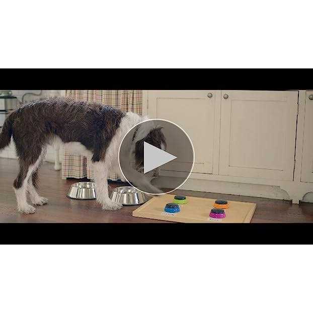 Rachael Ray Nutrish Dry Dog Food Real Chicken & Veggies Recipe - Pet Supplies online store