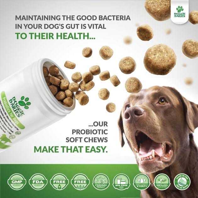 Doggie Dailies Probiotics for Dogs Advanced Dog Probiotics with Prebiotics - Pet Supplies online store