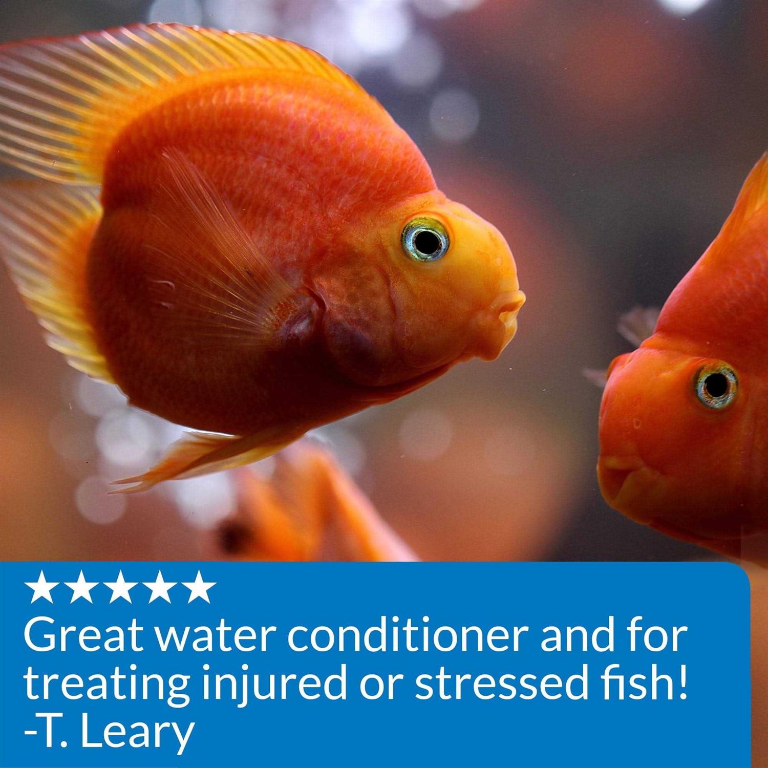 API Stress Coat - Pet Supplies online store