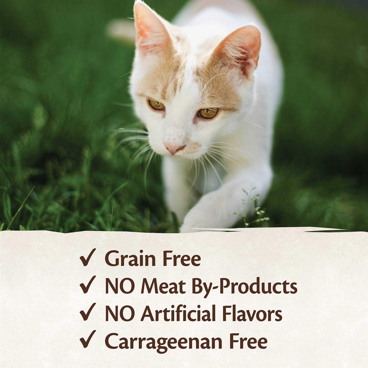 Wellness Core 95% Cat Food - Pet Supplies online store