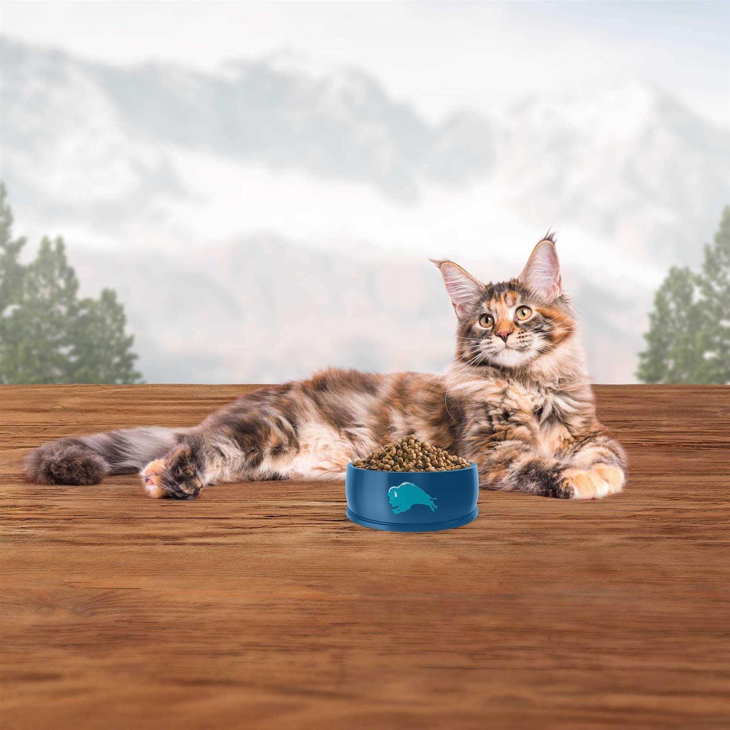 Blue Wilderness Indoor Hairball Control Cat Dry Food - Pet Supplies online store