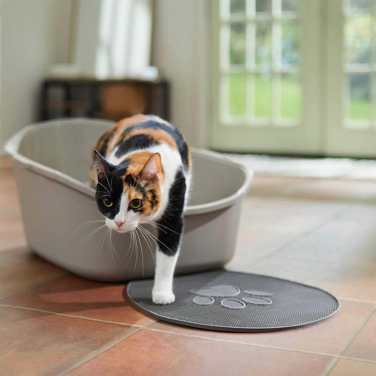 Frisco High Back Cat Litter Box - Pet Supplies online store