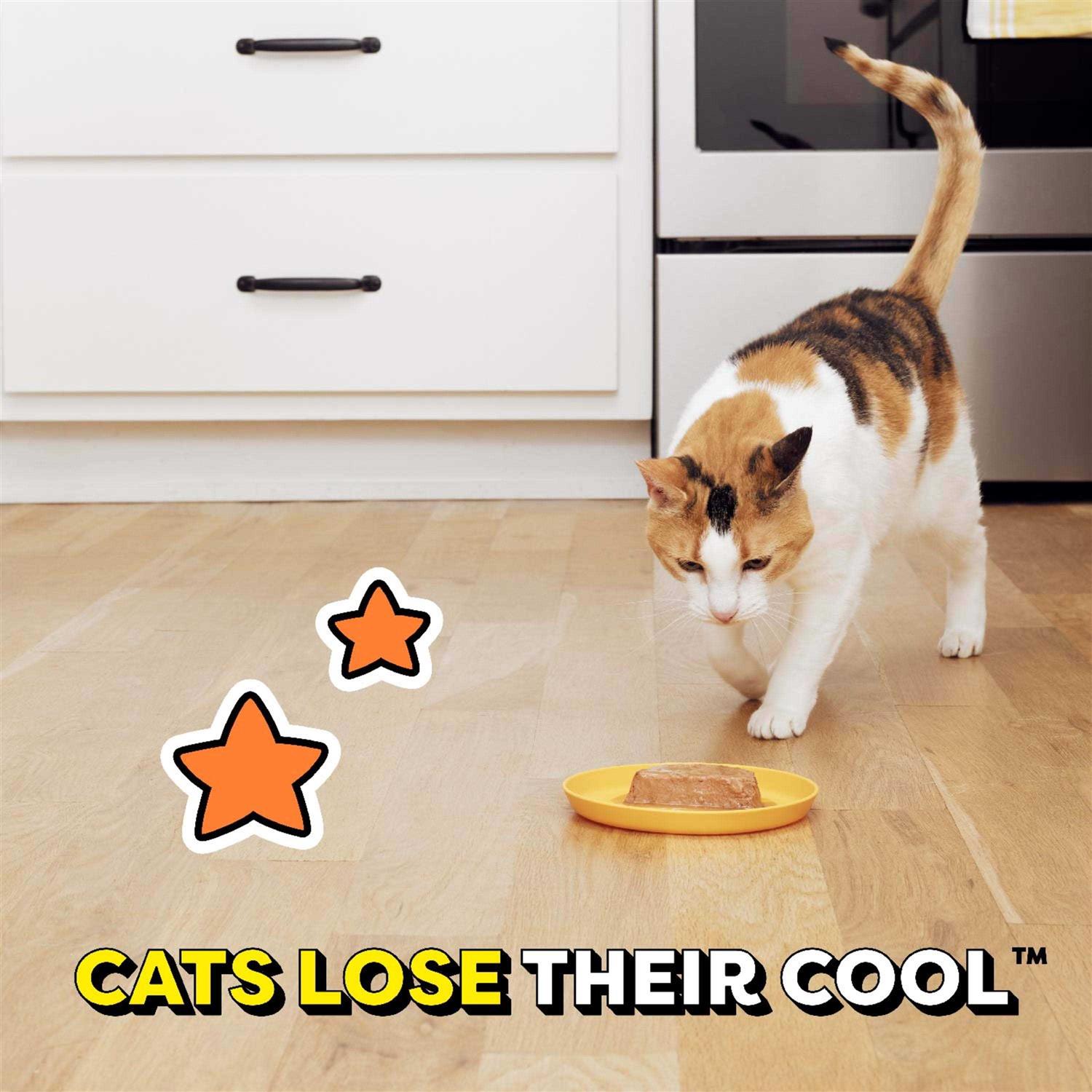 Temptations Tasty Chicken Flavor Gravy Wet Cat Food - Pet Supplies online store