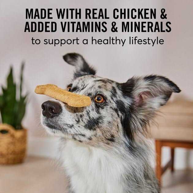 American Journey Active Life Chicken & Rice Flavor Large Biscuit Dog Treats - Pet Supplies online store