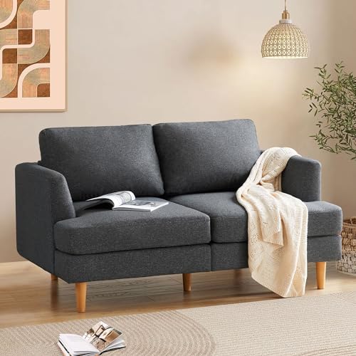 Loveseat Sofa 65