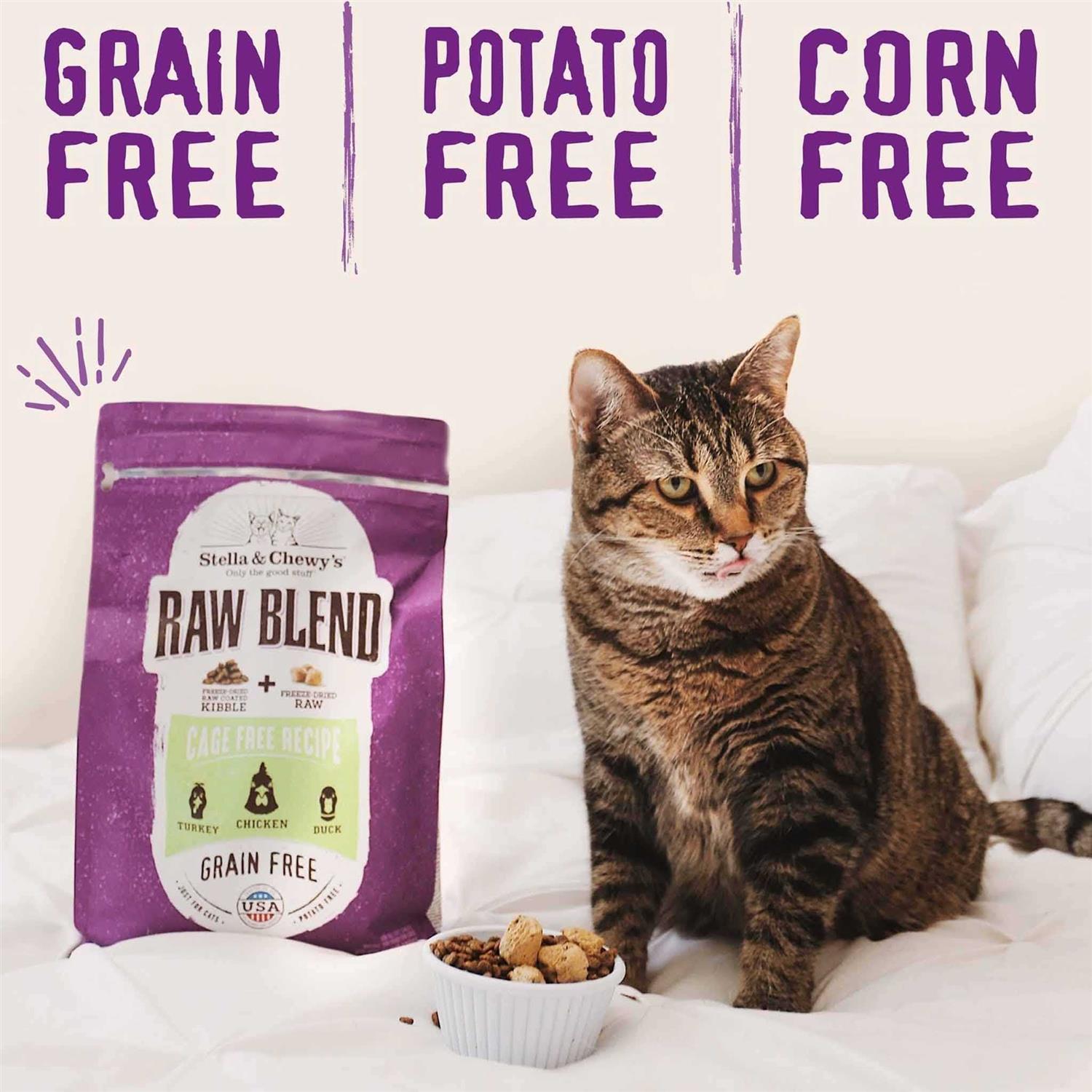 Stella Chewy's Raw Blend Cage-Free Recipe Dry Cat Food - Pet Supplies online store