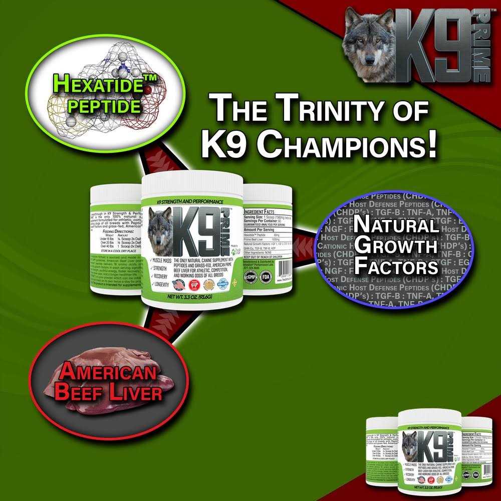 THE GIFT FOR LIFE K9 Prime Elevate Your Dog's Performance! - Pet Supplies online store