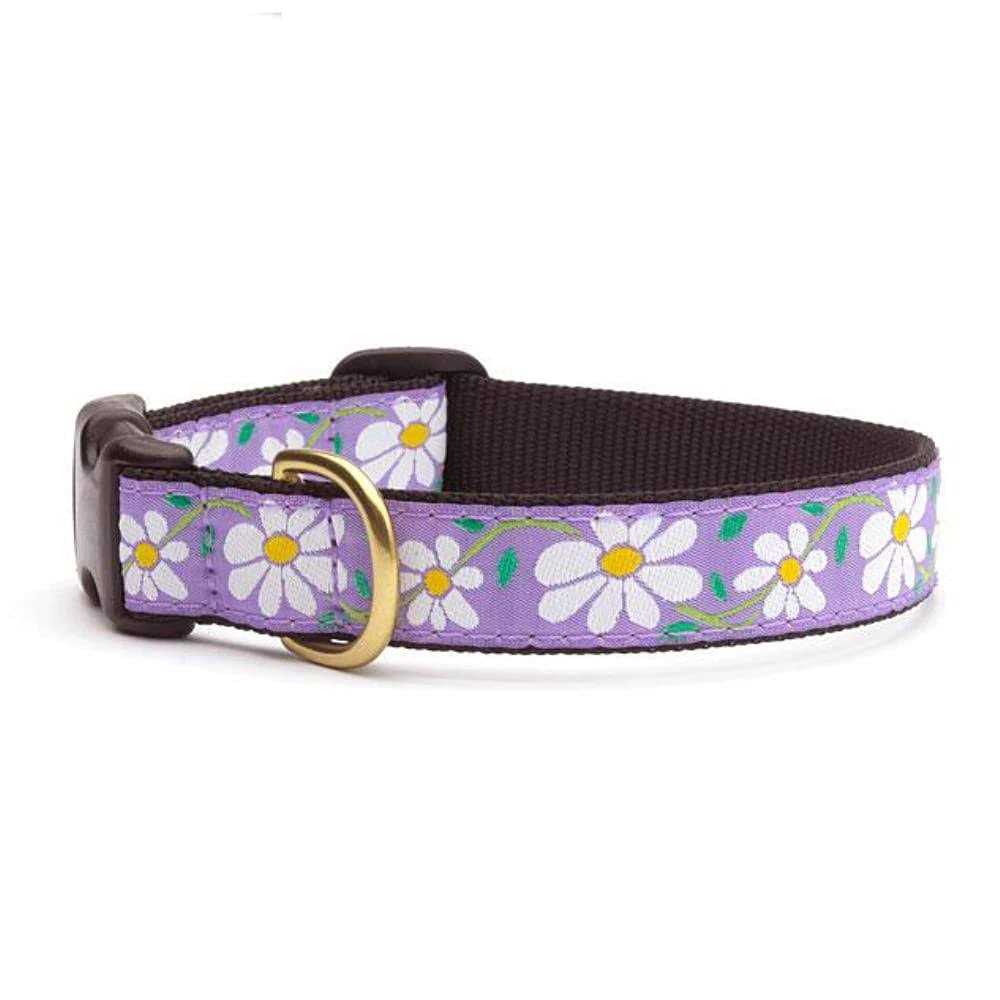 Up Country Daisy Dog Collar - Pet Supplies online store