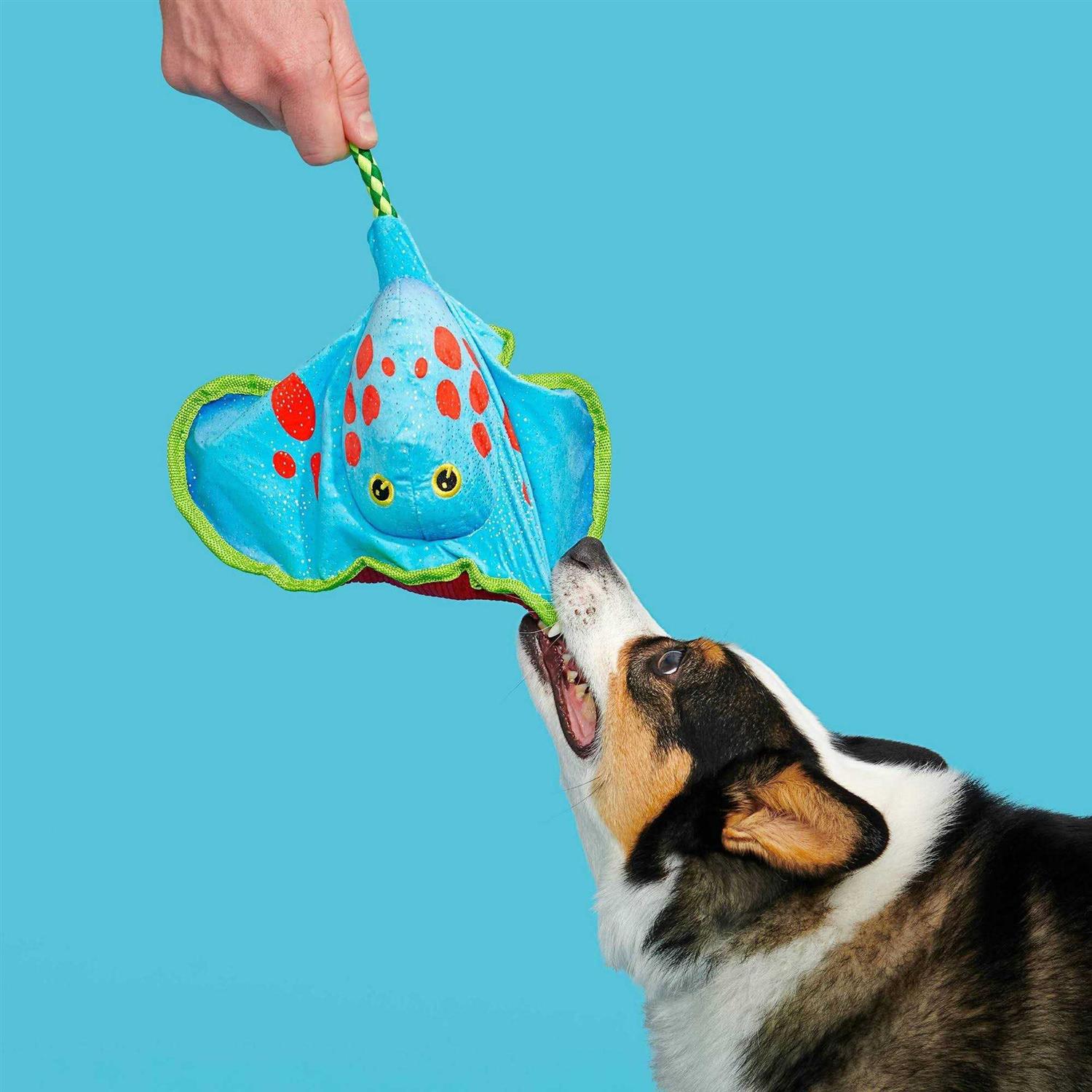 Bark Manny Ray Under the Seams Dog Toy - Pet Supplies online store