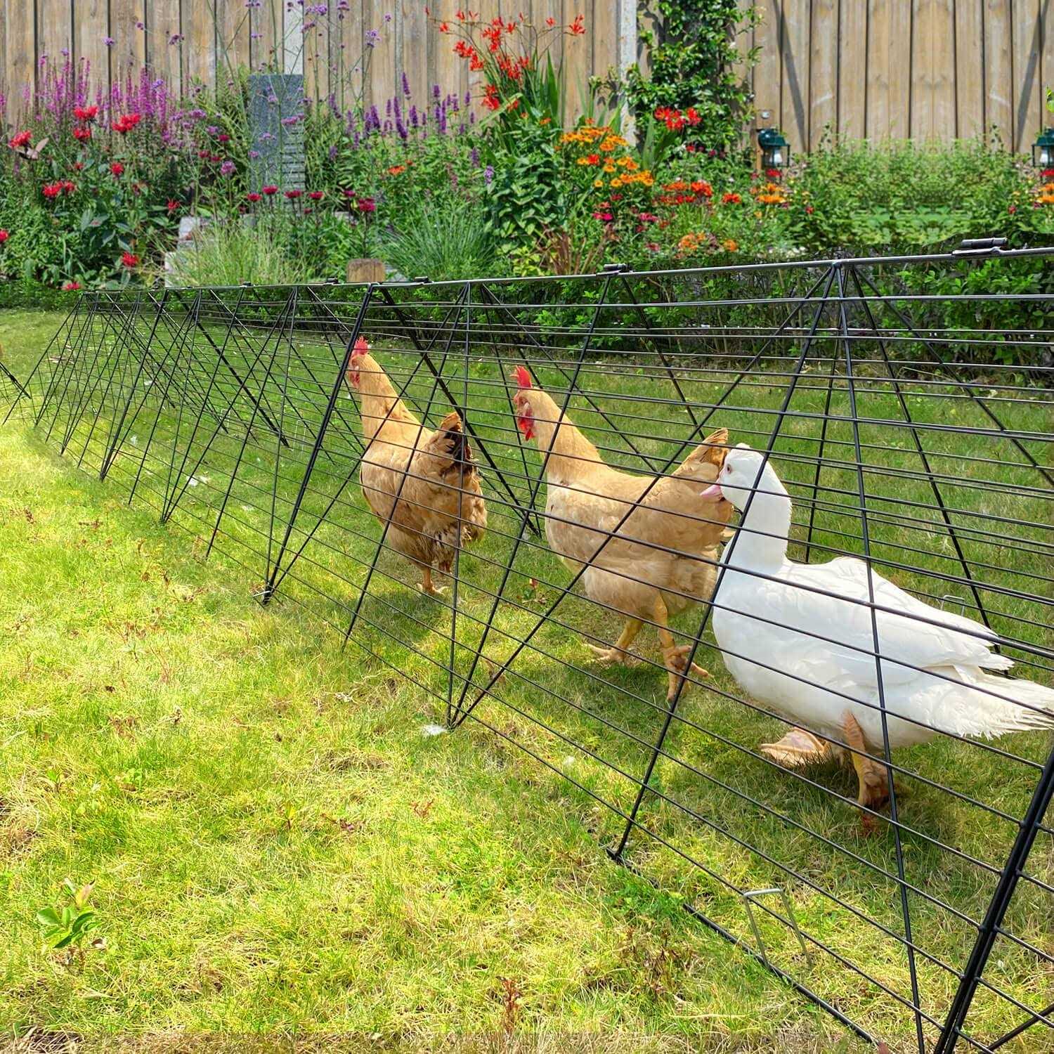 Chicken Tunnels for Yard Chicken Tunnels for Outside Chicken Run Coop Tunnel - Pet Supplies online store