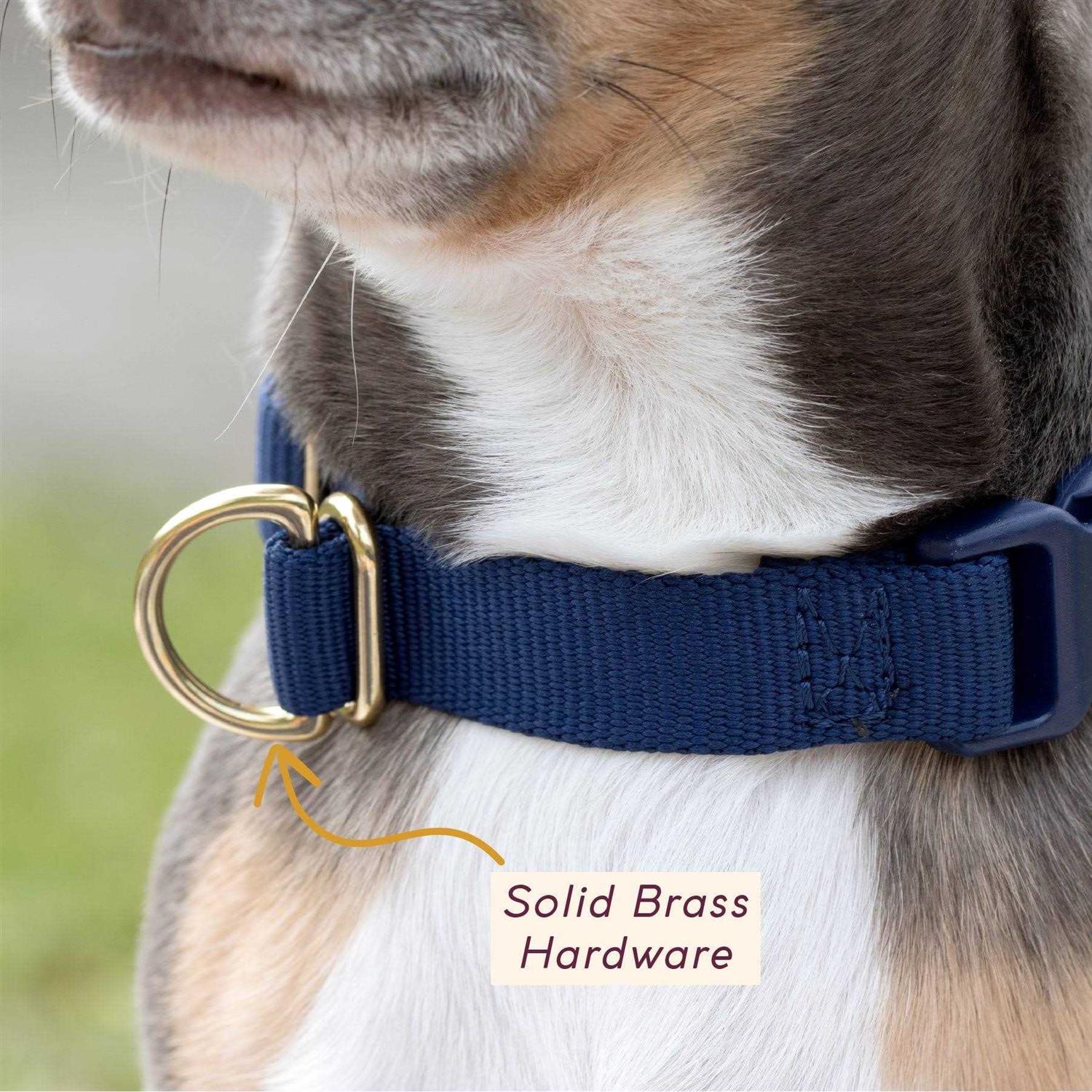 Awoo Pack Standard Dog Collar - Pet Supplies online store