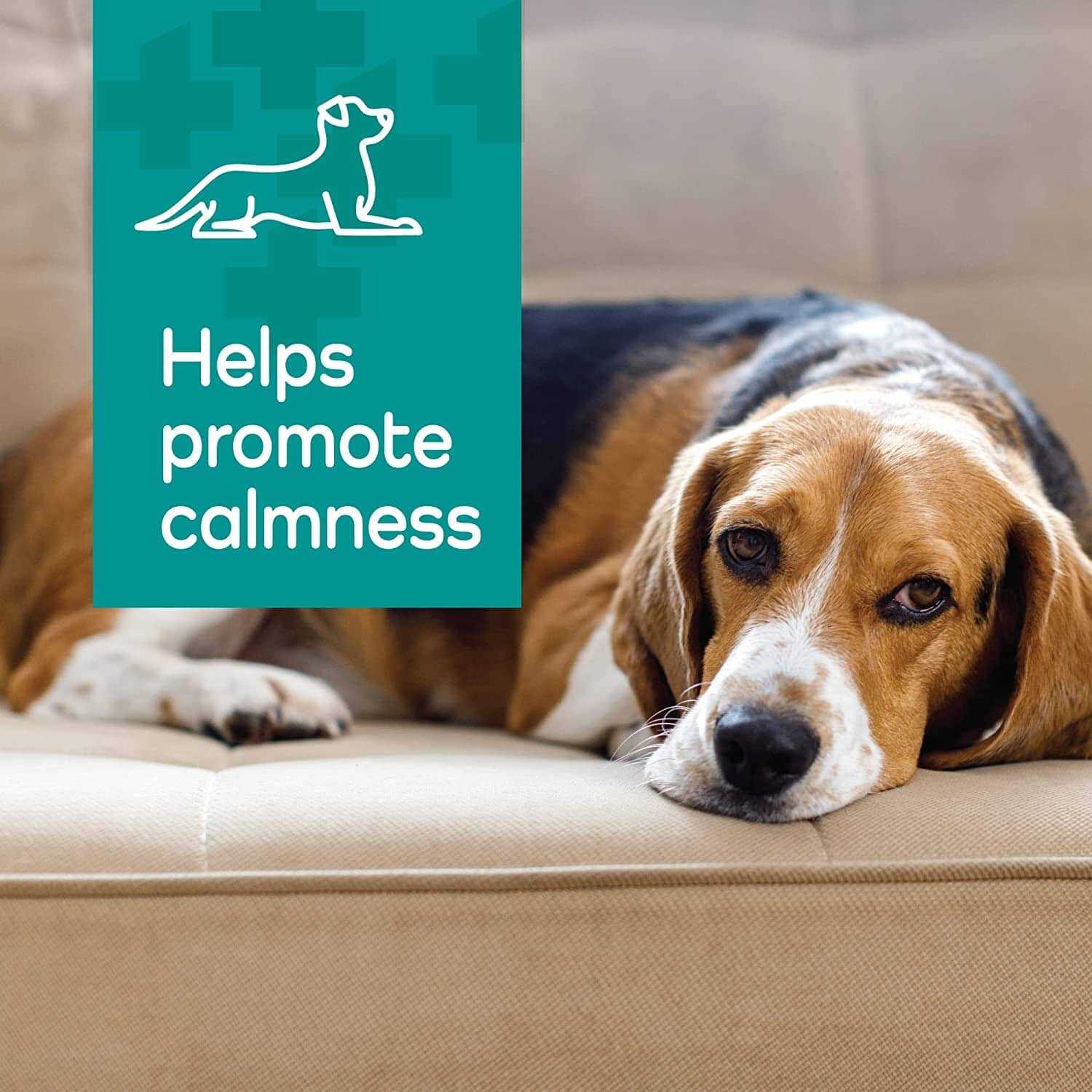 Vetality Hemp Helpers Collar for Dogs - Pet Supplies online store