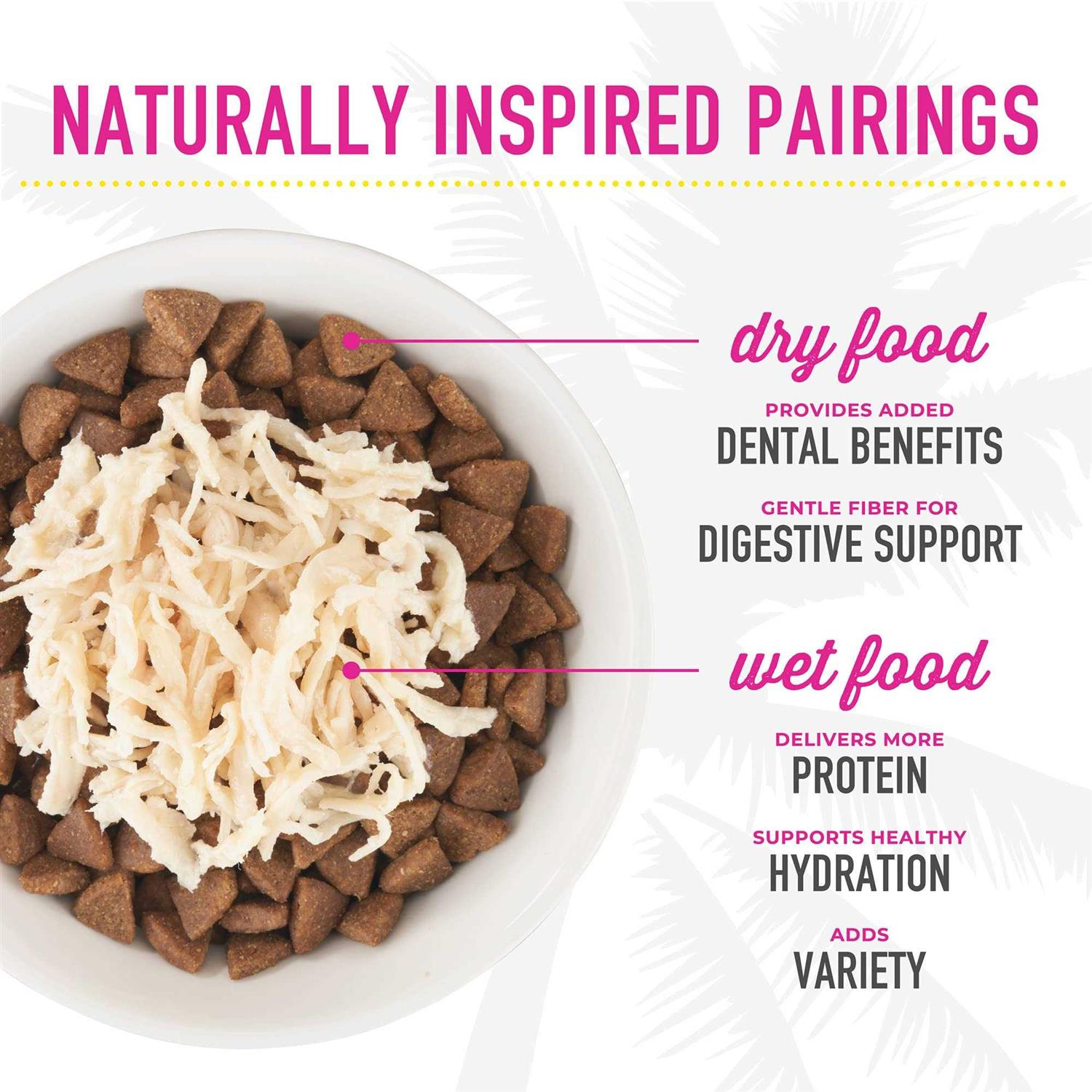 Tiki Cat After Dark Chicken Cat Food - Pet Supplies online store