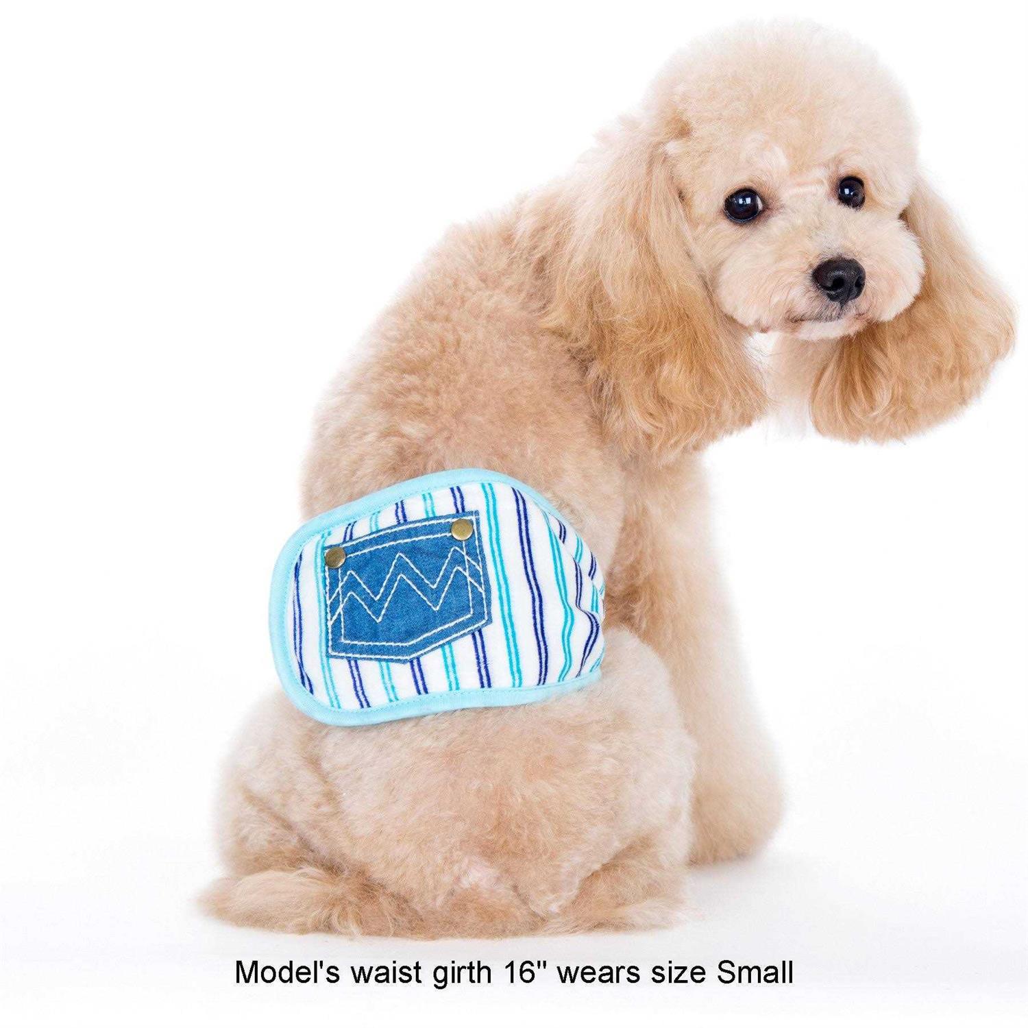 Alfie Pet Gaki Belly Band - Pet Supplies online store