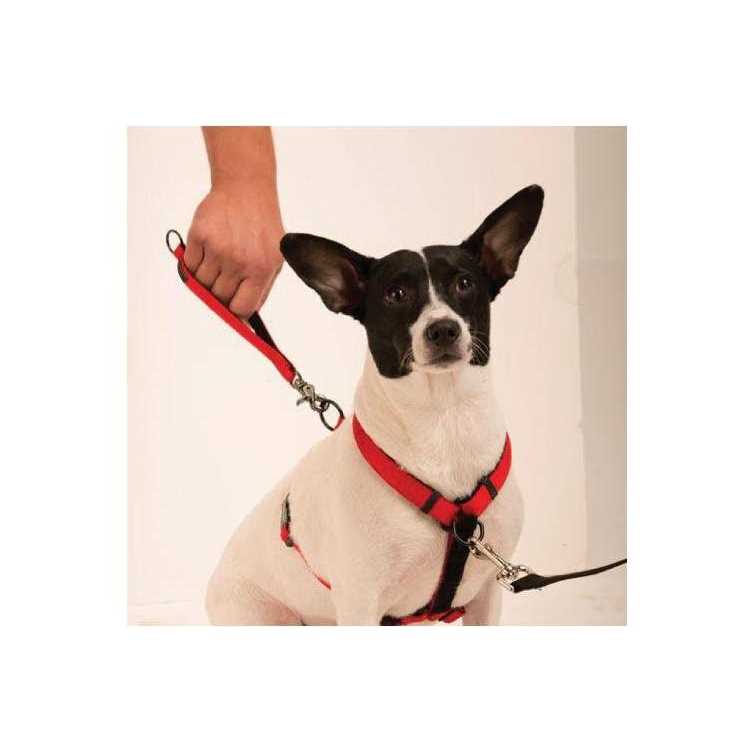 Sporn Ultimate Control Harness - Pet Supplies online store