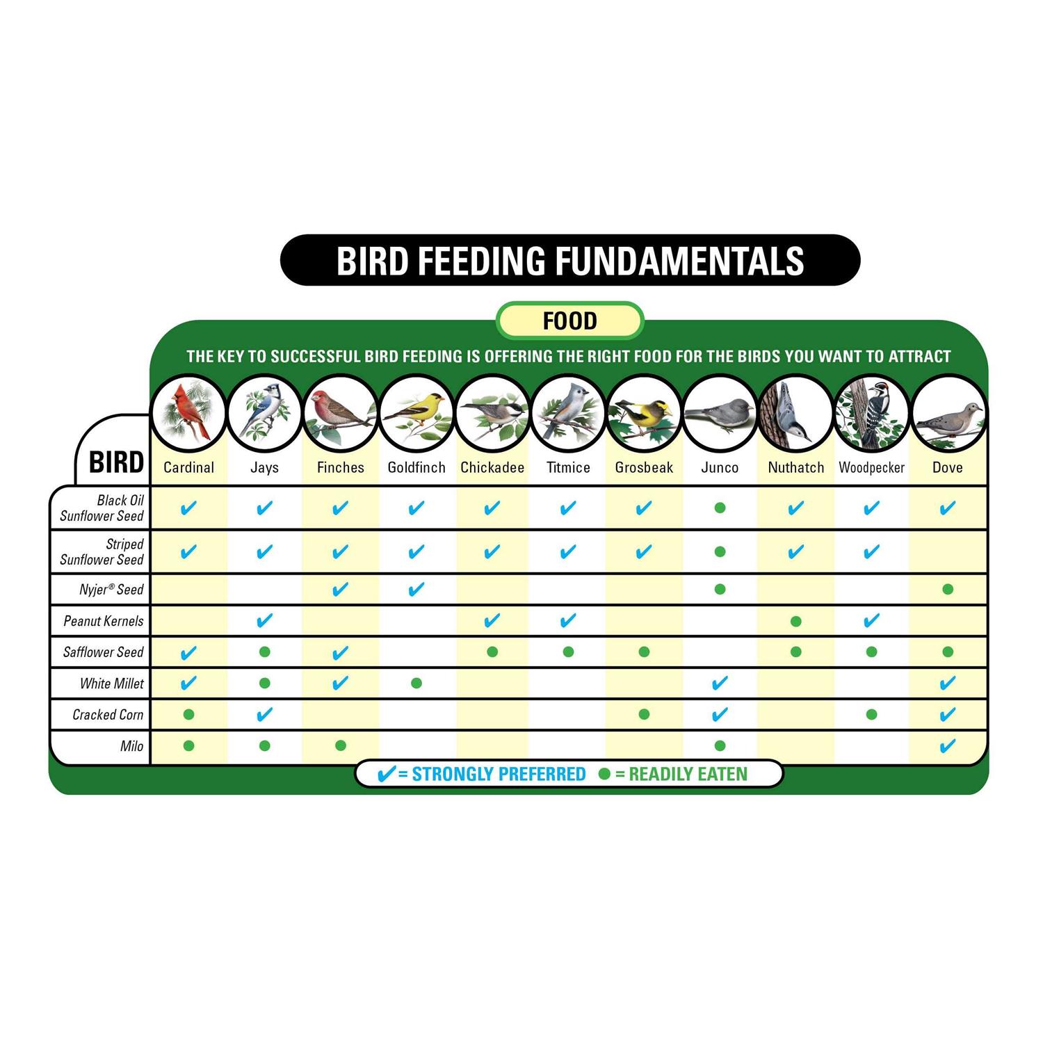 Wagner's 62004 Eastern Regional Wild Bird Food - Pet Supplies online store