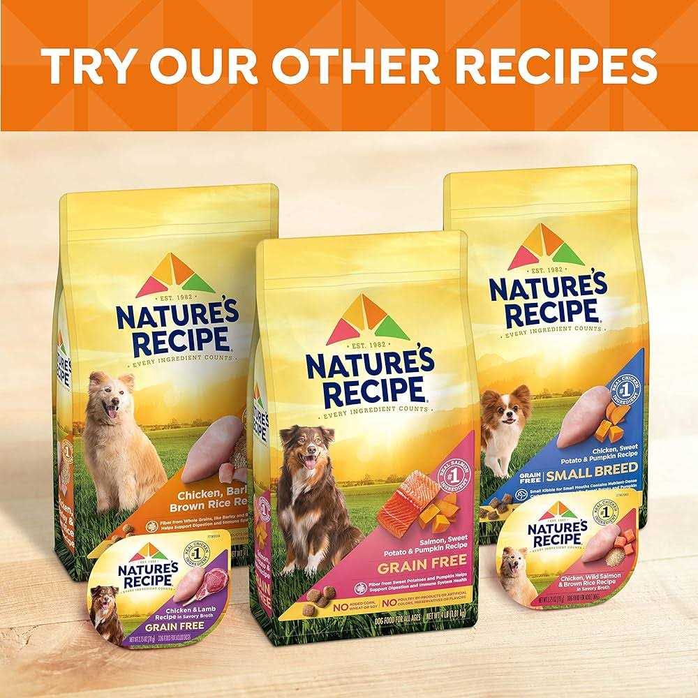 Nature's Recipe Grain Free Chicken Dry Dog Food - Pet Supplies online store