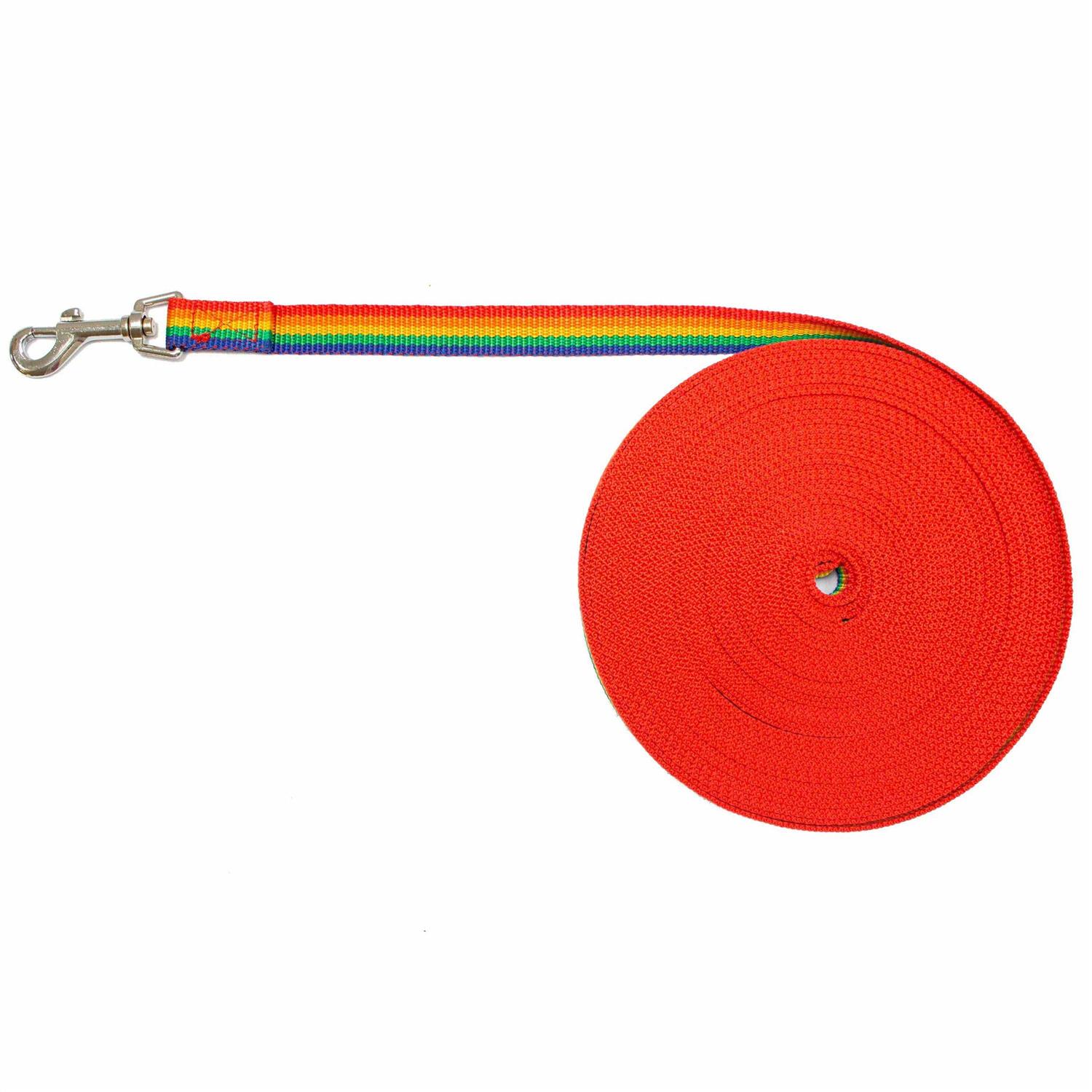 Downtown Pet Supply Long Lead Leash for Dog Training - Pet Supplies online store