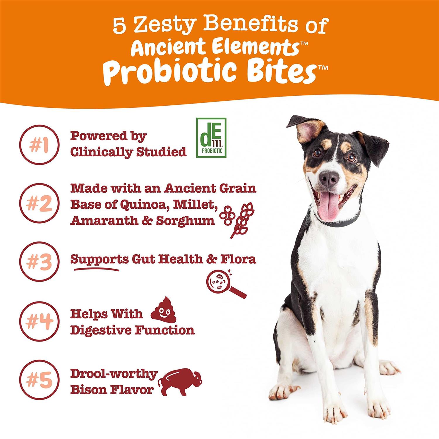 Zesty Paws Bison Ancient Elements Probiotic Bites for Dogs - Pet Supplies online store