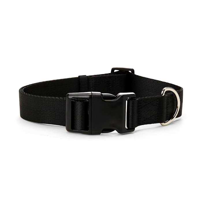 YOULY Adjustable Dog Collar - Pet Supplies online store