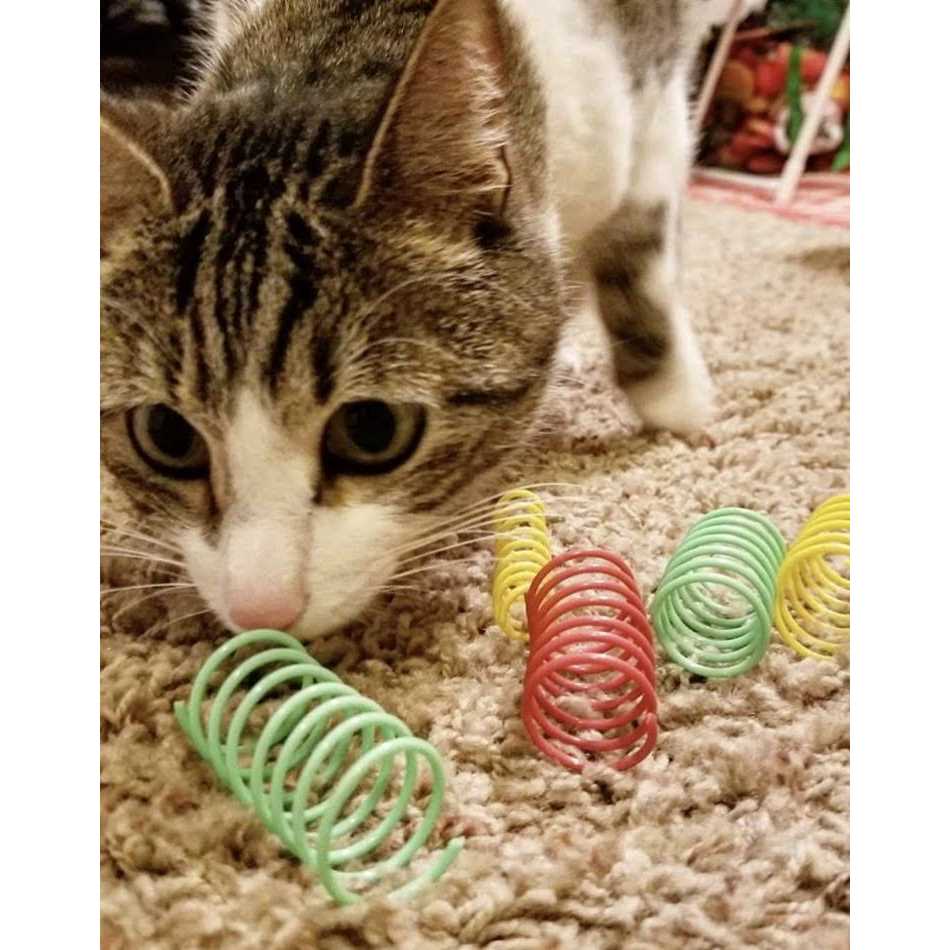 Spot Colorful Springs Cat Toy Thin - Pet Supplies online store