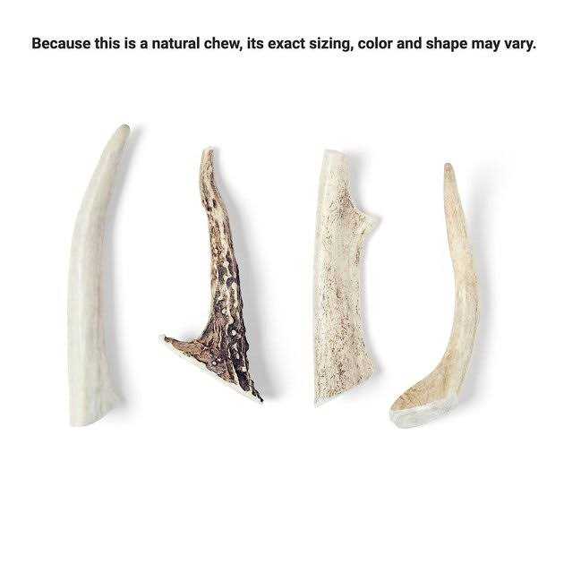 Bones & Chews Made in USA Deer Antler Dog Chew - Pet Supplies online store
