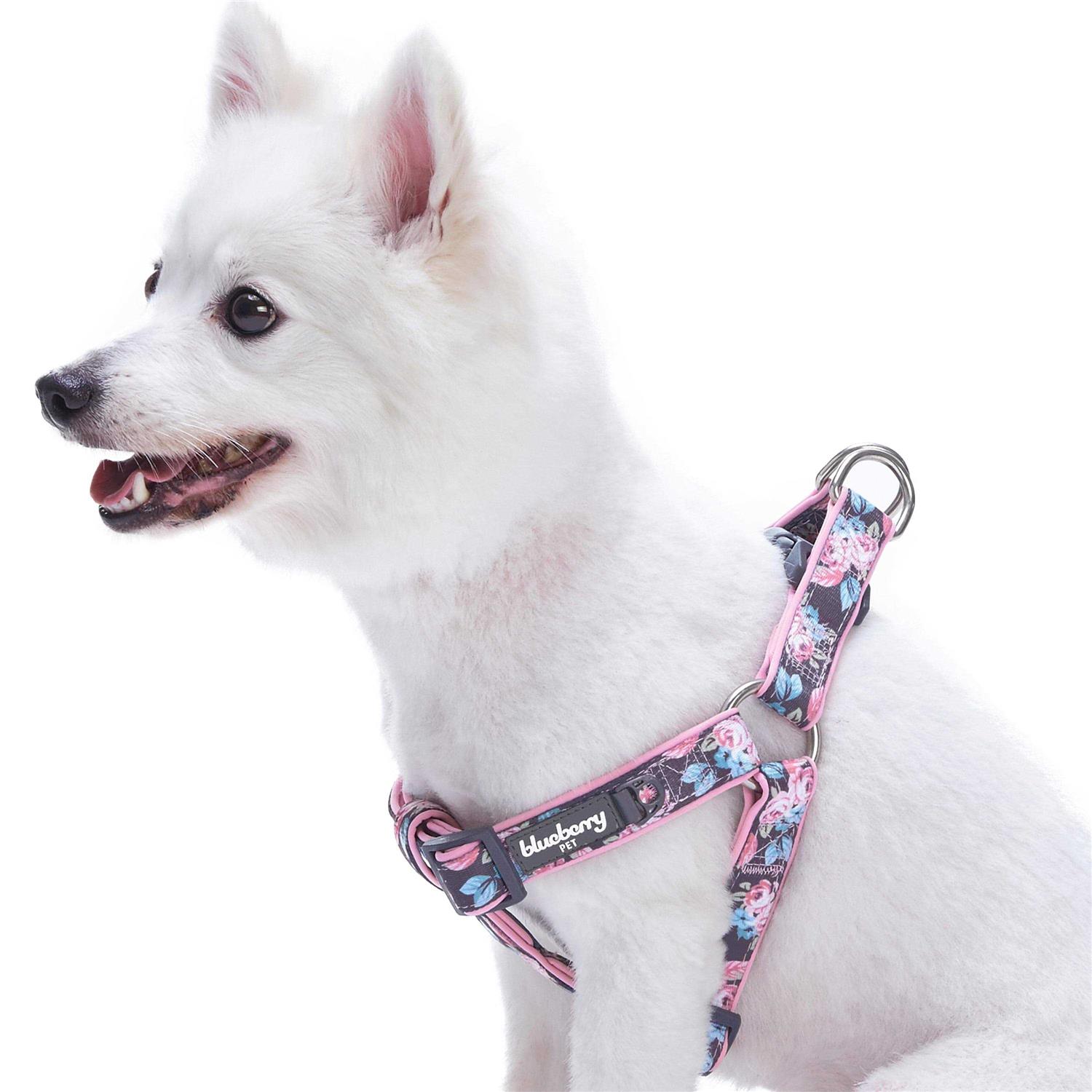 Blueberry Pet Step Dog Harness - Pet Supplies online store