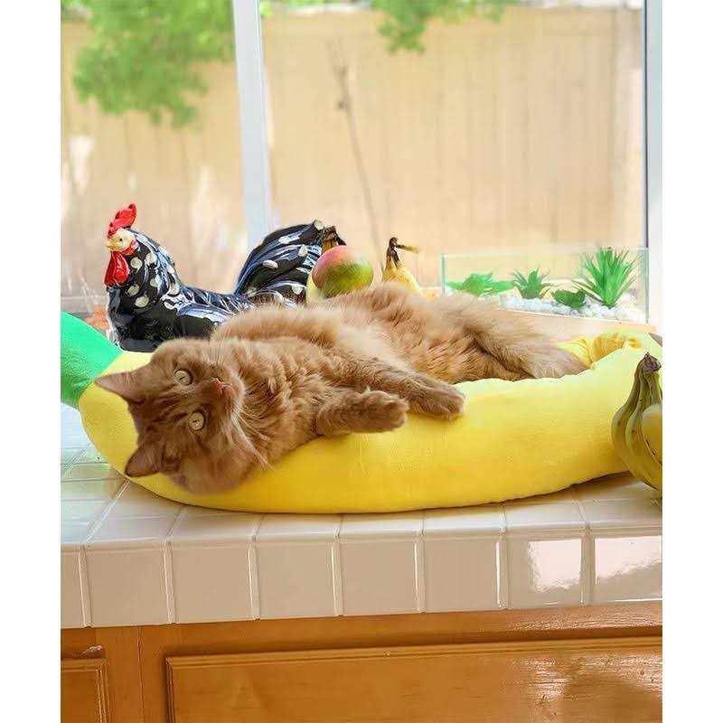 Silicute Dog Bed Cat Bed Pet Bed Comfortable and Washable in Banana Shape and Color w/Removable Cushion - Pet Supplies online store