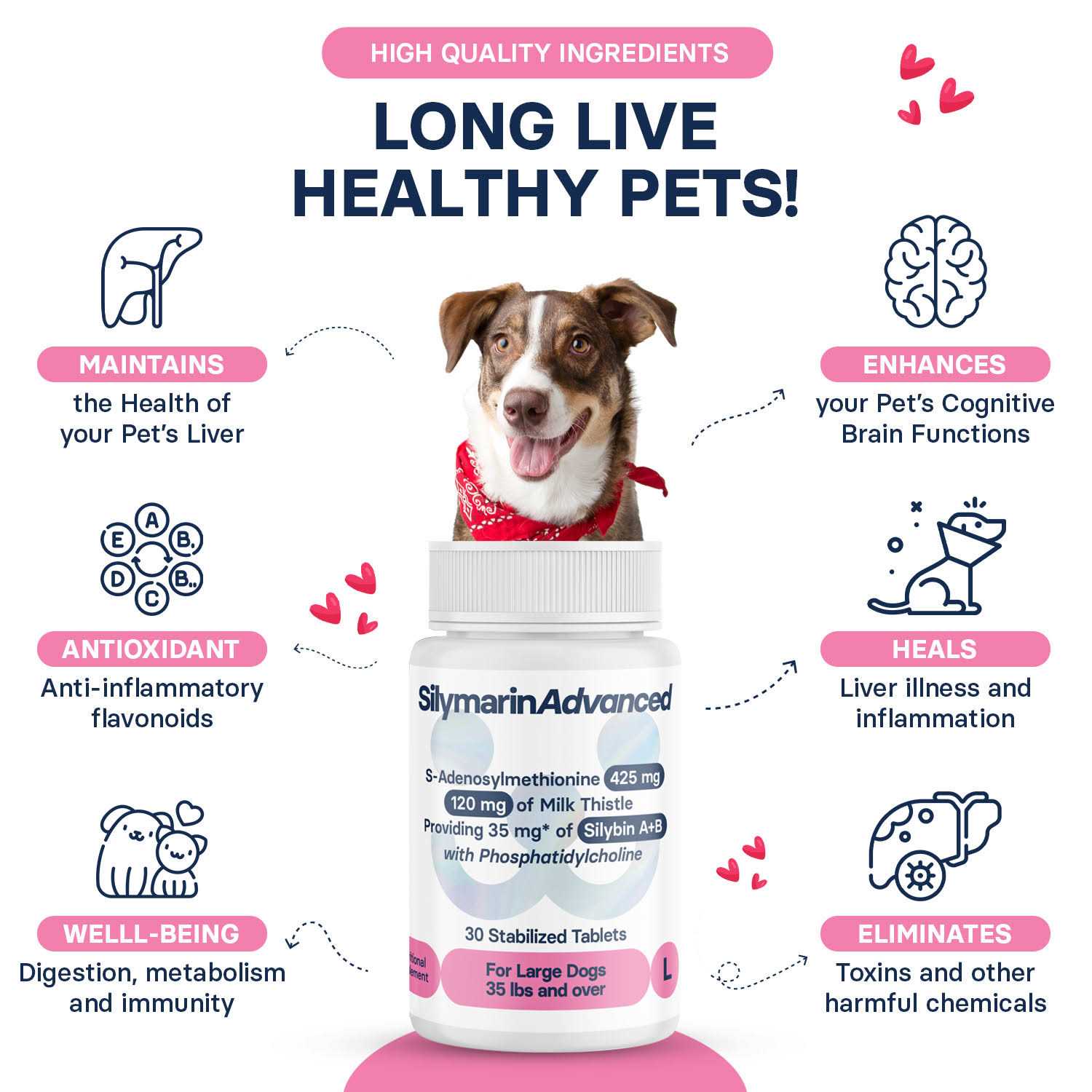 Silymarin Advanced Dogs and 30 tablets - Pet Supplies online store