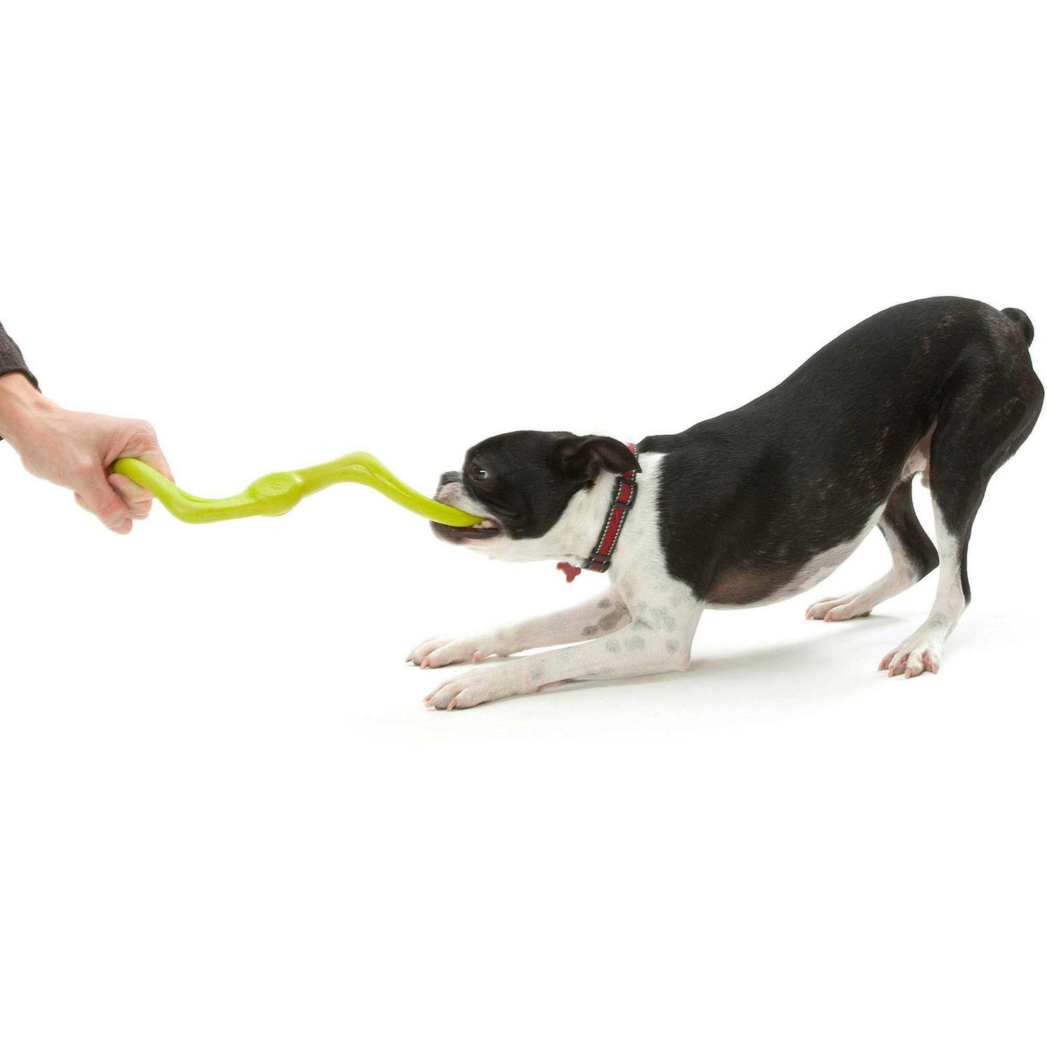 West Paw Bumi Dog Toy - Pet Supplies online store