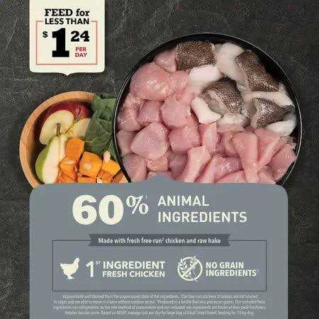 Adult Small Breed Acana - Pet Supplies online store