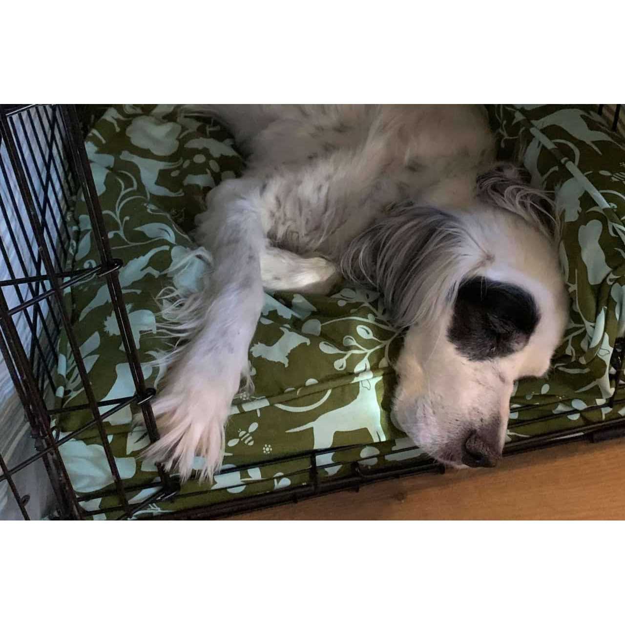 Molly Mutt Wool-Filled Dog Crate Pad - Pet Supplies online store