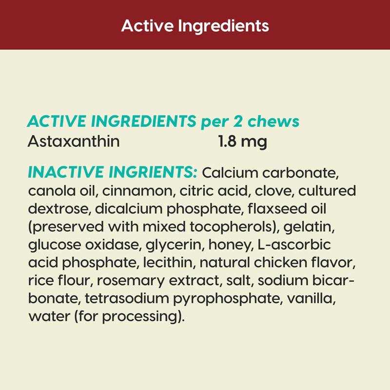 Ark Naturals Protection+ Brushless Toothpaste Fortified Dental Dog Chews - Pet Supplies online store