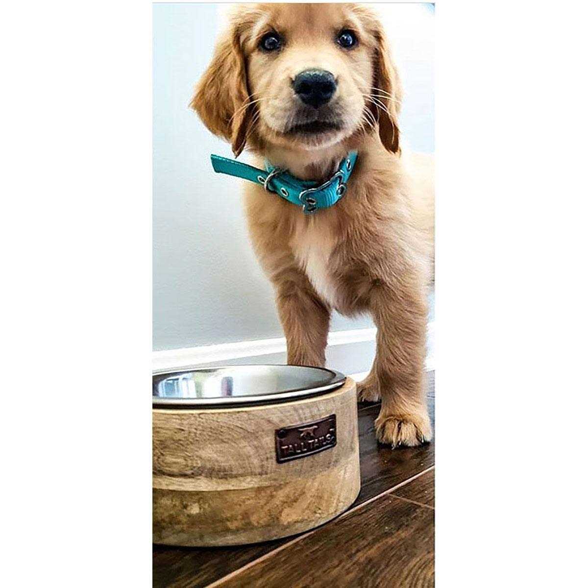 Tall Tails Wood Designer Dog Bowl - Pet Supplies online store