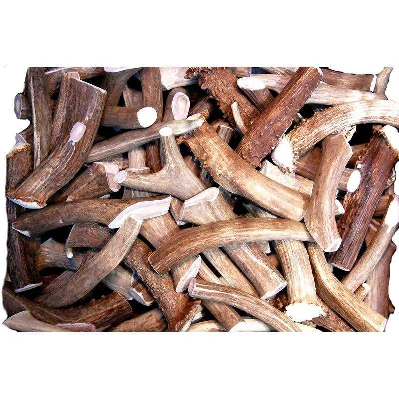 Big Dog Antler Chews Premium Deer Antler Pieces Dog Chews Antlers by The Pound, One Pound - Pet Supplies online store