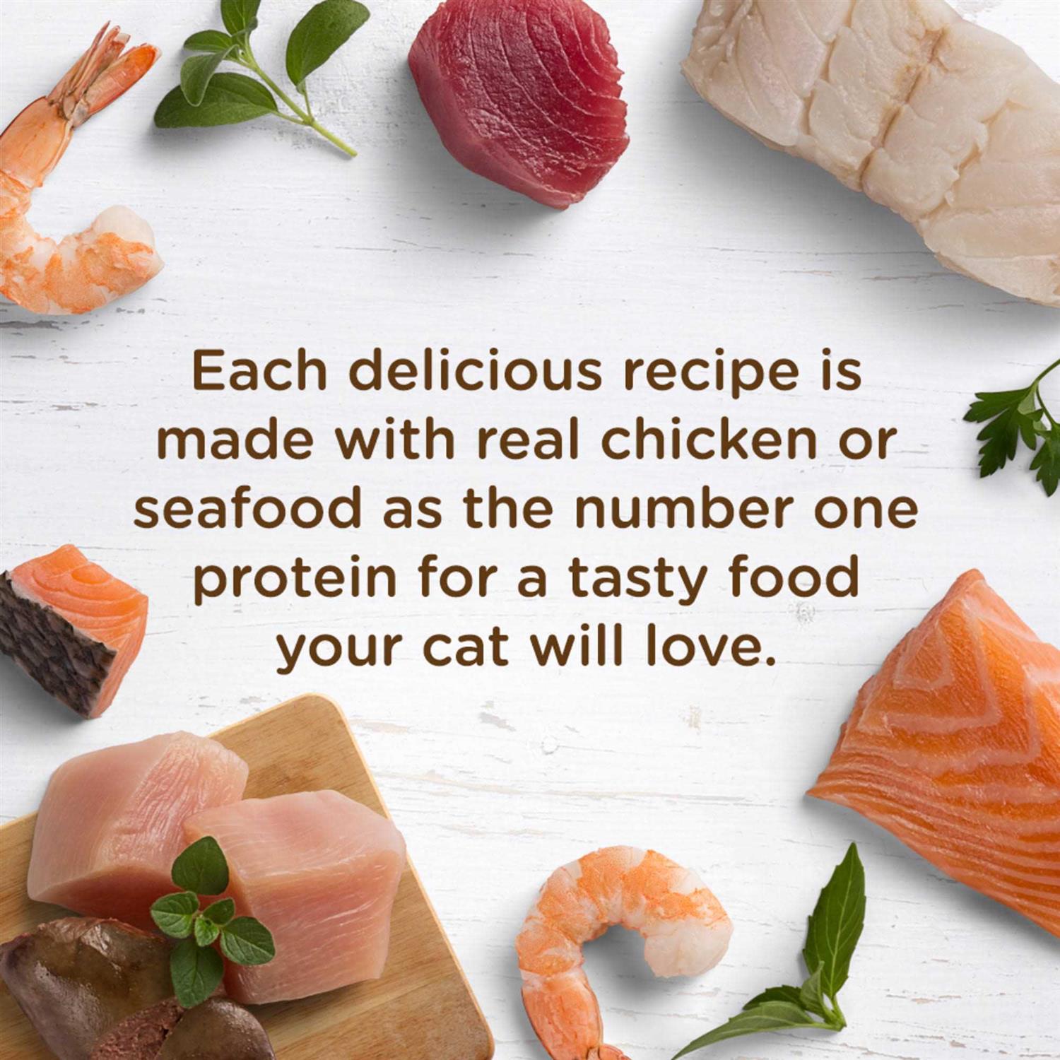 Rachael Ray Nutrish Wet Cat Food, Ocean Fish-A-Licious - 2.8 oz cup - Pet Supplies online store